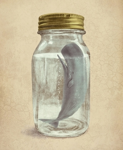 Illustration | Tumblr #http #illustration #society6 #art #comartistigo2cairo