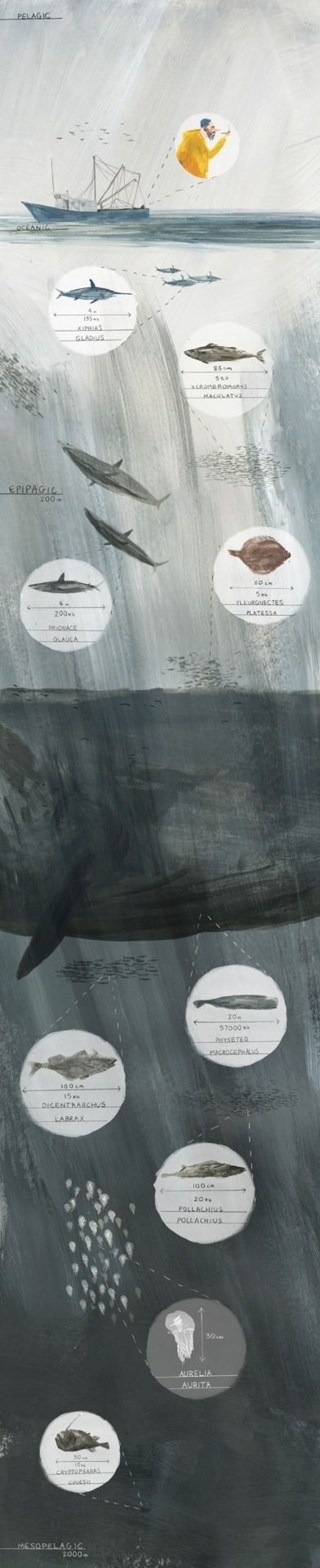 Joe Todd Stanton. http://joetoddstanton.com/ #whale #fisherman #fish #illustration #boat