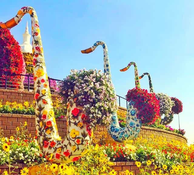 Saxophones integrated with flowers at the Dubai Miracle Garden. Saxophones with flowers became part of the Dubai Miracle Garden in its Season 7.