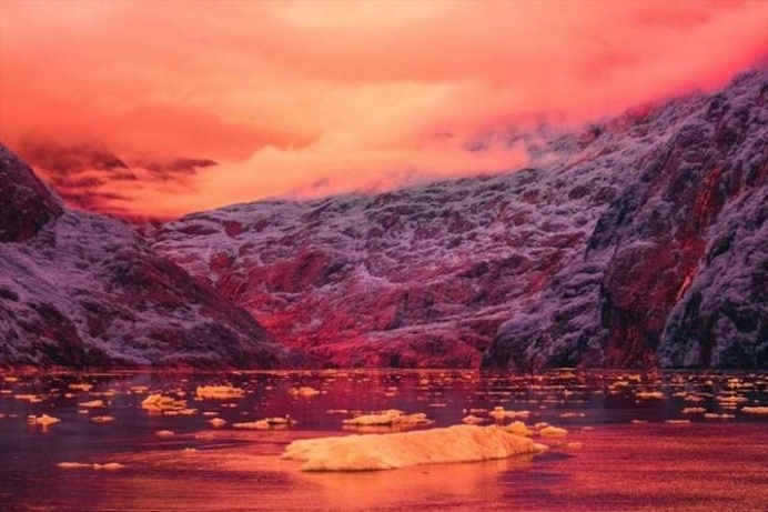 Surreal Infrared Nature Photography by Bradley G Munkowitz