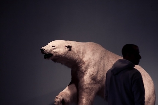 Paul Octavious - Yale Peabody #photography