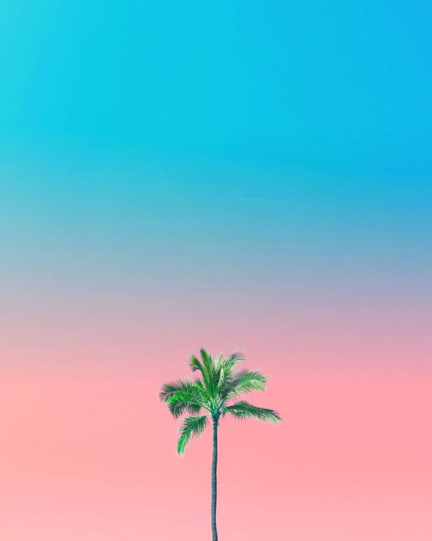 Aryton Page – INAG | I Need A Guide