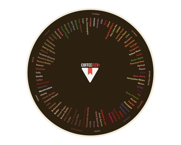 COFFEEFLTR.COM – Find & bookmark coffee. #infographic #color #graphic #filter #flavor #wheel #info #coffee #taste