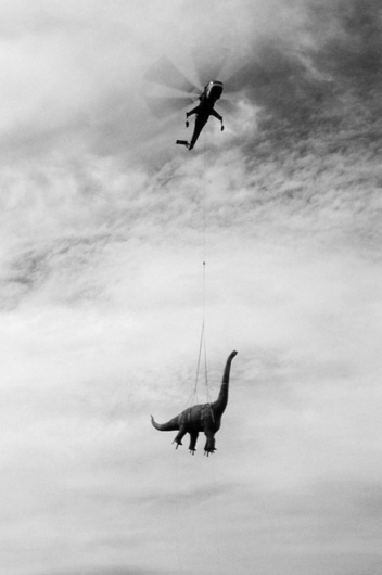Swiss Cheese and Bullets / Wisdom #helicopter #dinosaur #photography