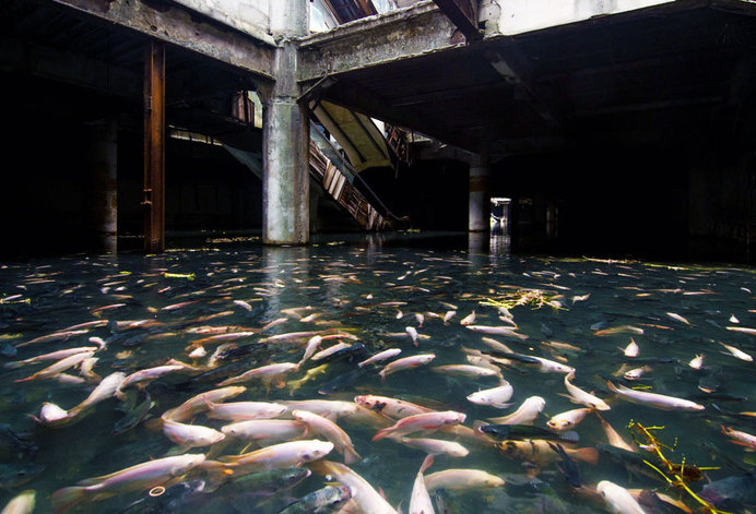 nature-reclaiming-abandoned-places-23 #abandoned #photography