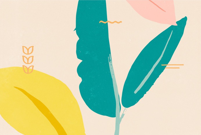 Visual Identity & Packaging for Bloombox by Roser Padrés Bloombox is an online native organic flower delivery service located in Sydney and Melbourne. The project objective was to transmit the brand's sustainable ecological values through the use of...
