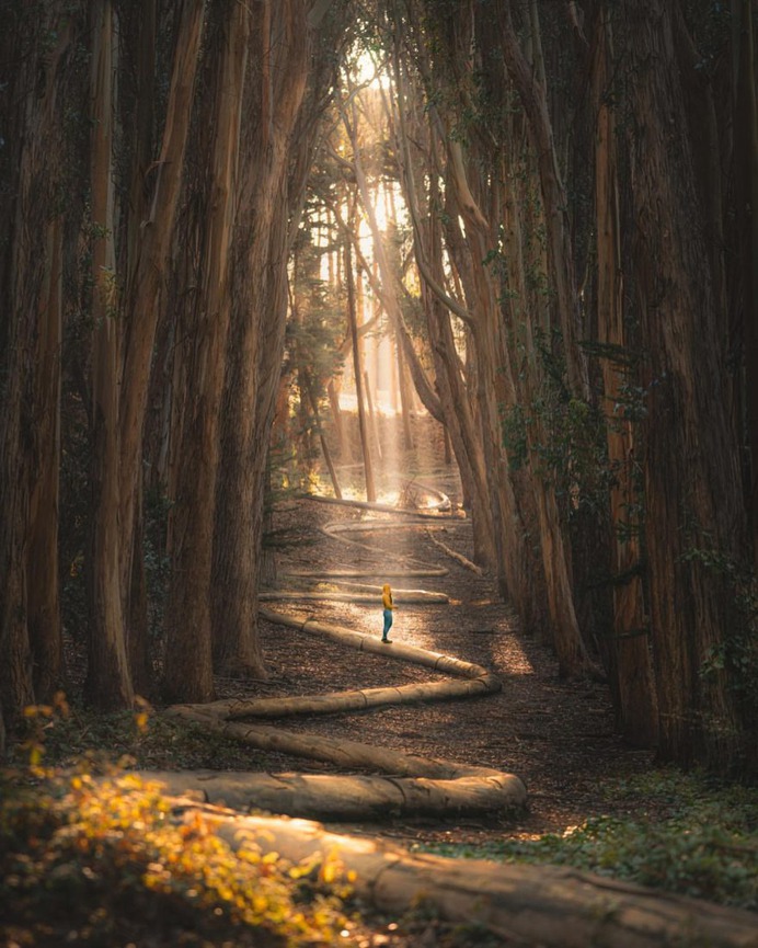 Dreamlike and Colorful Travel Landscapes by Paige Tingey