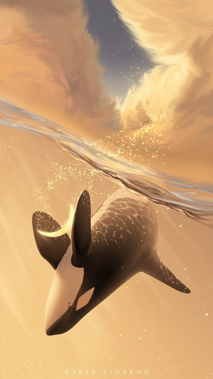 Fallen Crescent by Ciorano