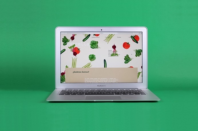 Parcella, branding by Ministry.