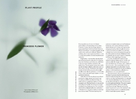 storepage3_grande.gif (GIF Image, 600 × 439 pixels) #wilder #minimal #layout #magazine #typography