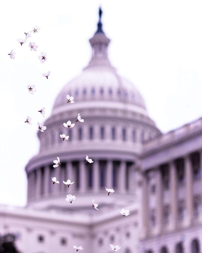Stunning USA Street Photography by Zack Lewkowicz