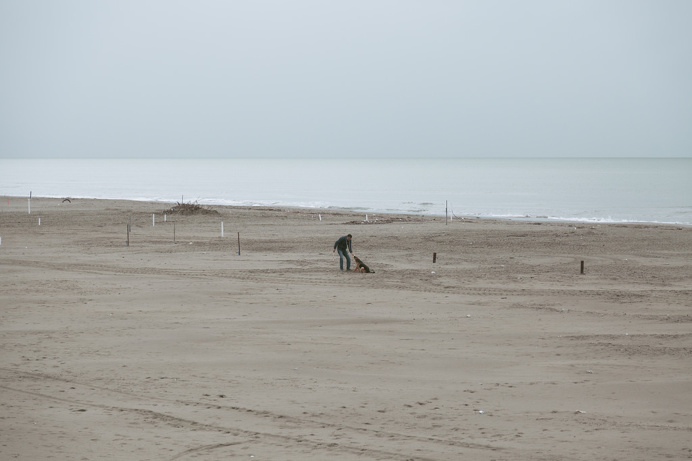 Gioco contrario | la forza era contraria ma non si spezzò. Si continuarono a inseguire fino a che calma piatta non incontraron #photography