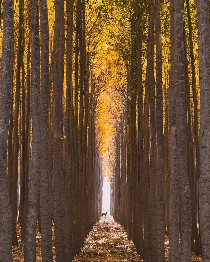 Marvelous Nature Landscapes by Zachary Edward Martgan