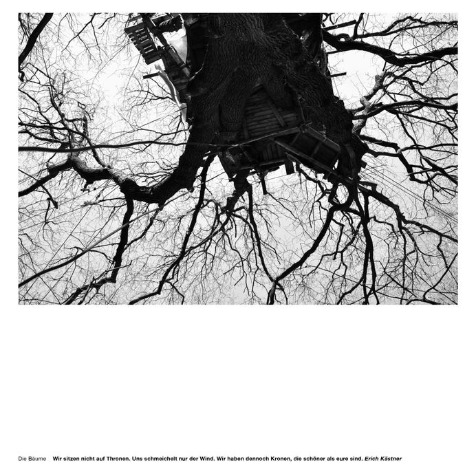 Die Bäume Wir sitzen nicht auf Thronen. Uns schmeichelt nur der Wind. Wir haben dennoch Kronen, die schöner als eure sind. Erich Kästner #hambacherforst #forest #treehouse PHOTOGRAPHIE © [ catrin mackowski ]