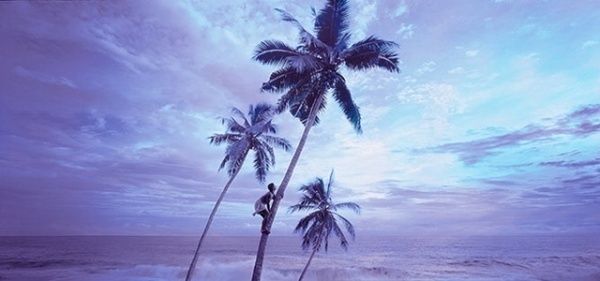 Photography by Paul Ruigrok van der Werven #inspiration #photography #commercial