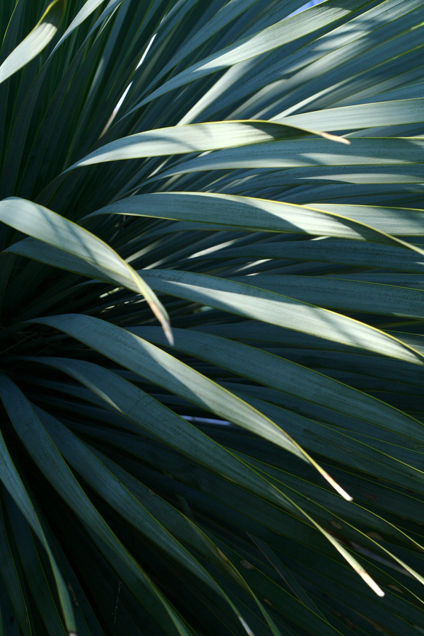 Tickle #photography #nature