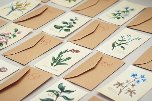 still shivering #botanic #illustrations #letter #envelope #flower