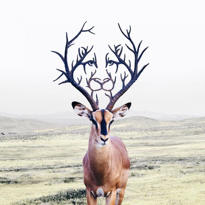 Surreal and Dreamlike Photography Manipulations by Luisa Azevedo