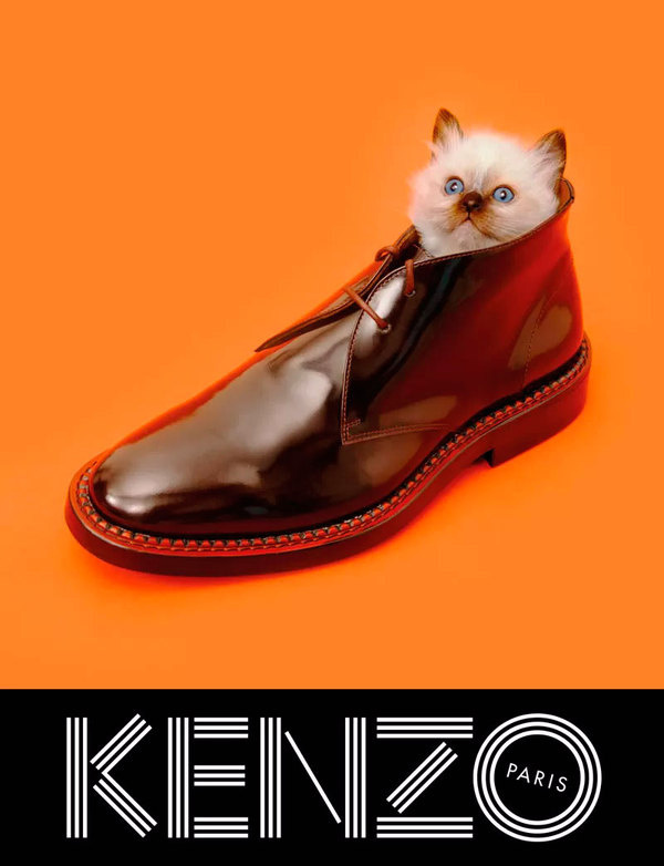 kenzo_fw13_campaign_5 #photography