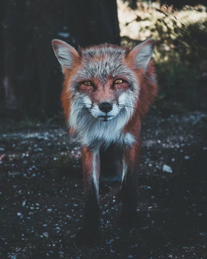 #folkcreative: Stunning Adventure Photography by Daniel Weissenhorn