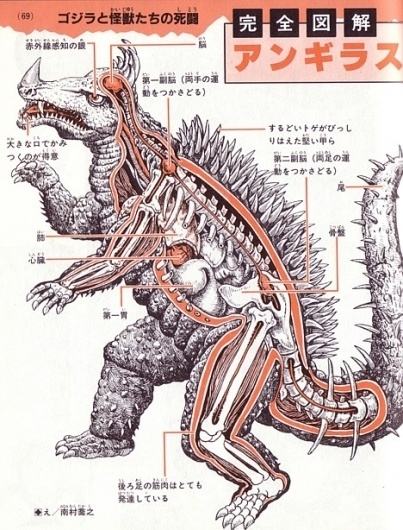 Kaiju anatomical drawings ~ Pink Tentacle #movie #anguirus #japanese #anatomical #monster