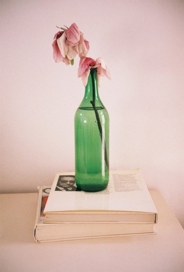 Ada Hamza - BOOOOOOOM! - CREATE * INSPIRE * COMMUNITY * ART * DESIGN * MUSIC * FILM * PHOTO * PROJECTS #bottle #photography #flower #still #life