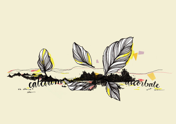 ❦ True Nature identity www.pepijnrooijens.com #illustration #identity