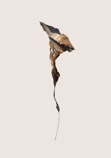 Our environment is a complex of frequencies and angles - but does it float #abstract #photography #minimal #collage