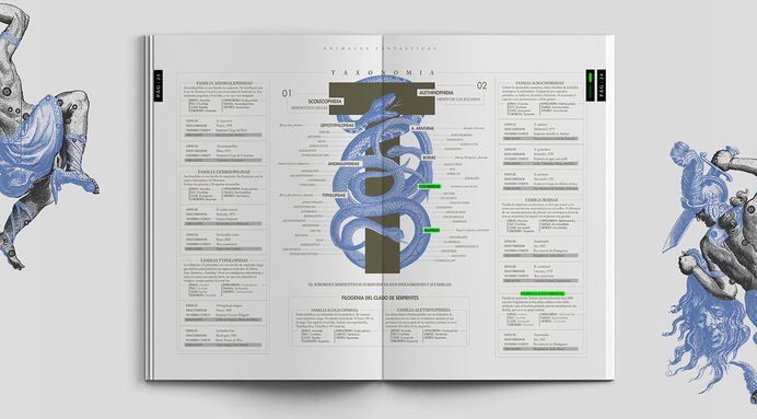 Milenaria Serpiente on Behance
