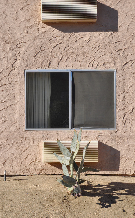_CA+ __california ___yucca valley, motel super 8 PHOTOGRAPHIE © [ catrin mackowski ]