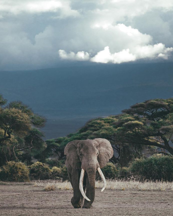 Stunning Moody Adventure Photography by Carmen Huter
