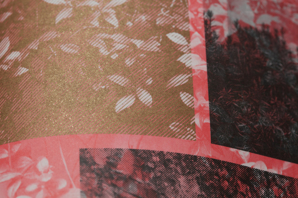 Fedrigoni — Gel Series | Flickr Photo Sharing! #photo #sharing #flickr #series #gel #fedrigoni