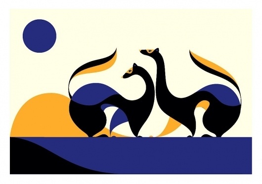 Ferrets - malikafavre #illustration