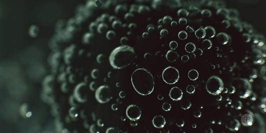 evokingemotion #bubbles #photography