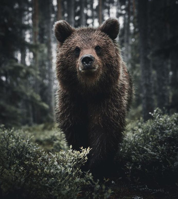#wildernessculture: Nature and Outdoor Photography by Stian Norum Herlofsen