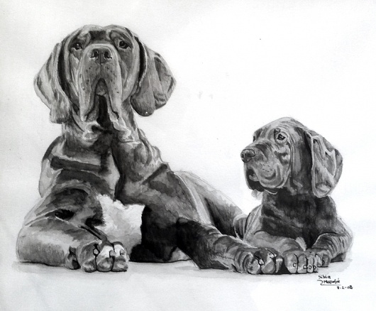 Acuarela | Silvia Mallofre #illustration #dog
