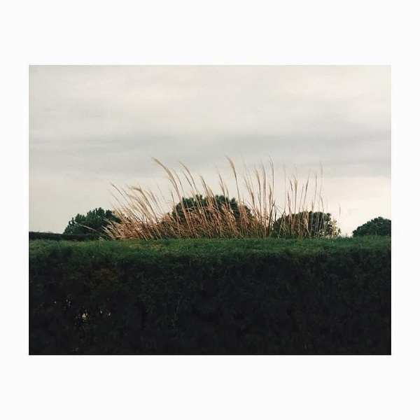iPhoneography by Primoz Zork #inspiration #photography #iphoneography