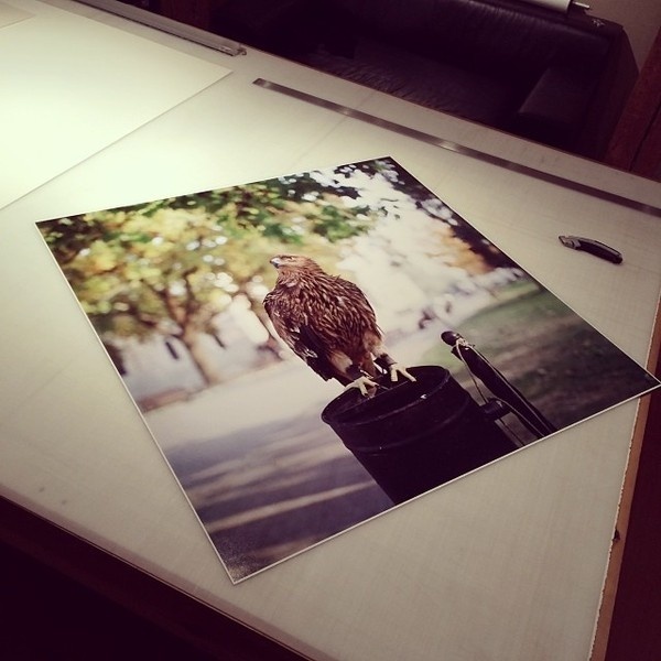 Photography by Jeffrey Stockbridge #inspration #photography #art