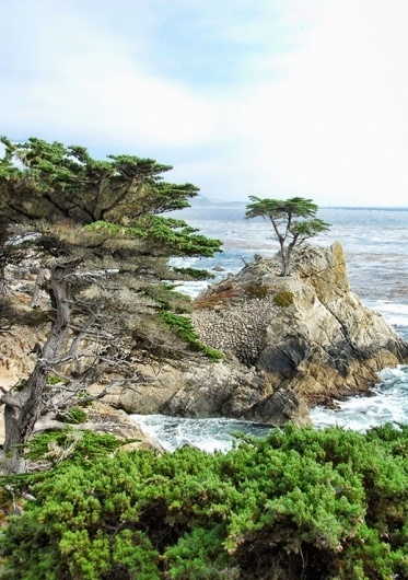 California : Matt Travaille : Graphic Design | Minneapolis #ocean #clouds #oak #tree #pebble #travaille #pacific #beach #california #coast