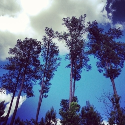Design + Life #photography #sky