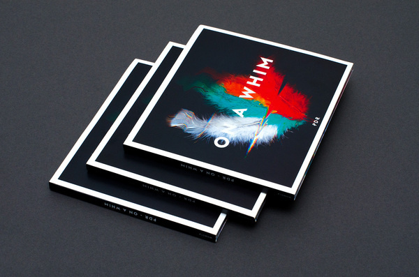 Bureau Lukas Haider #print #scan #feathers