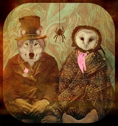 Lou Madhu #madhu #owl #artwork #digital #lou #wolf #animals #collage