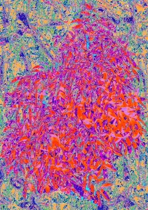 Callum Monteith | PICDIT #painting #art