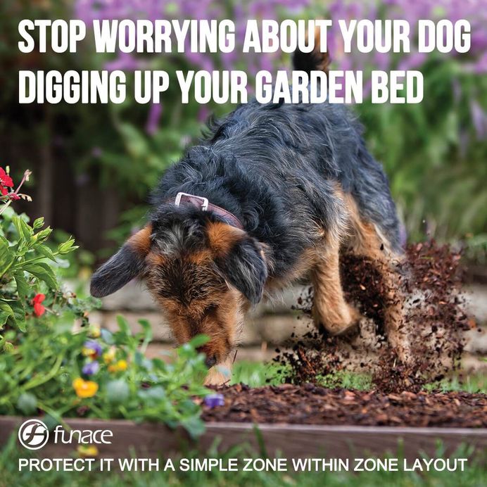 Wired Pet Containment System