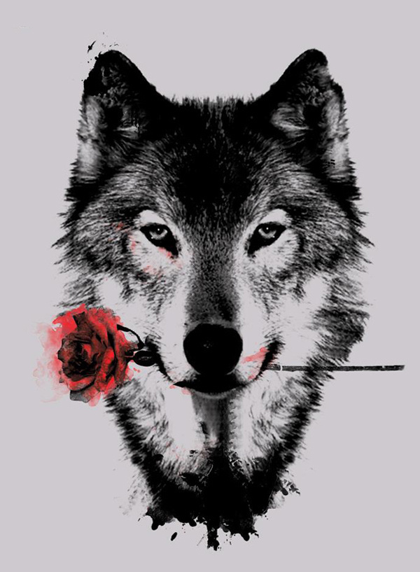 BLACK ROSE