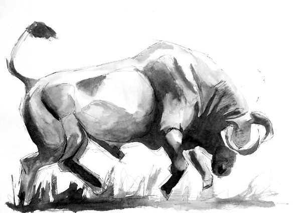 Bull VII | Ink on Paper | 11 #bull