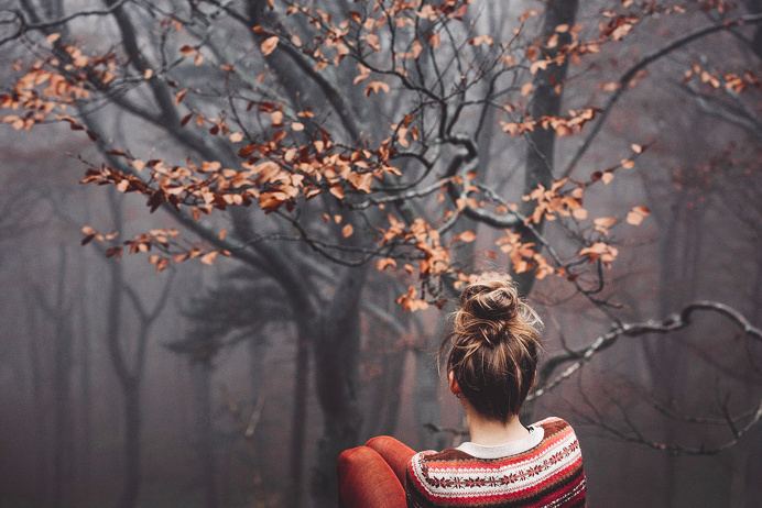 #forest #autumn #photo