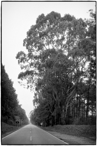 moleskine #white #road #black #trip #photography #and