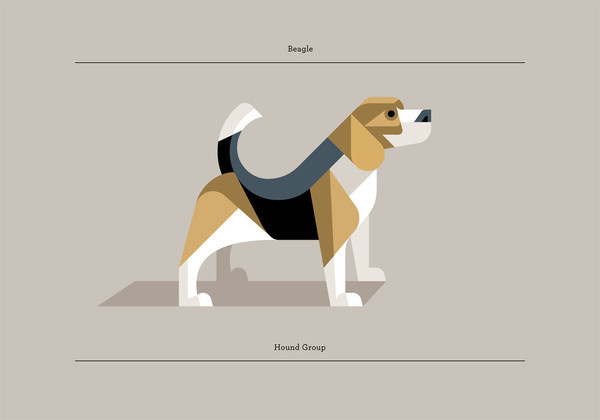 Beagle #illustration #poster #dog