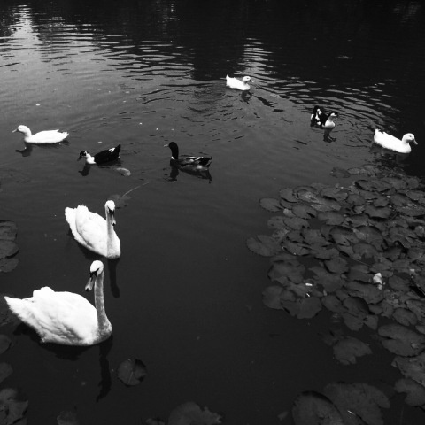 Denef Huvaj | PICDIT #photo #photography